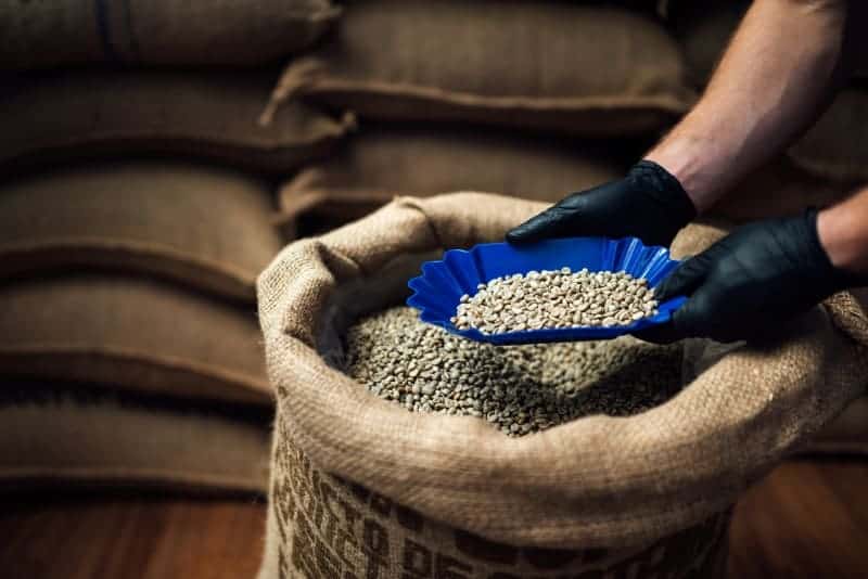 dry coffee bean exporting